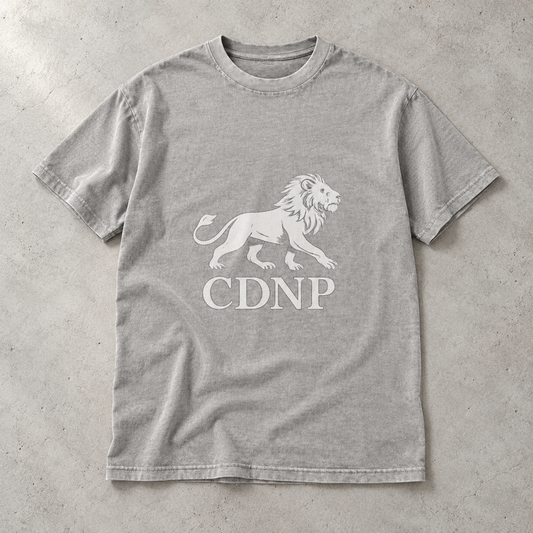 Image for color: Washed Grey